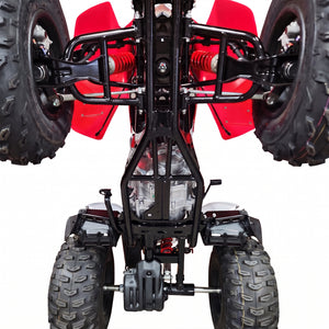 Full Coverage  |  Bundle - Underbody Protection Kit |  Honda TRX250X